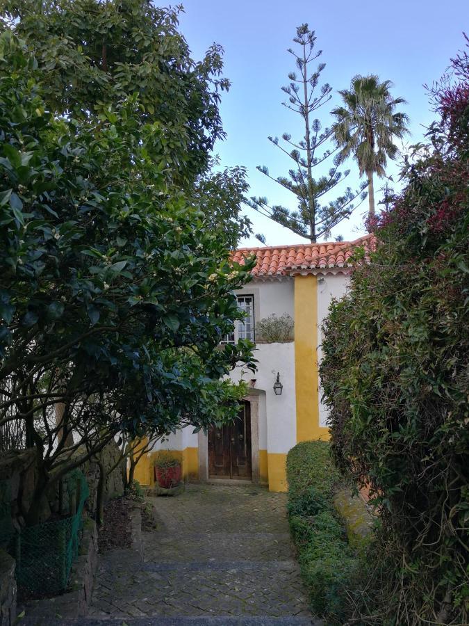 Quinta Do Rio Touro Bed & Breakfast Azoia  Exterior photo