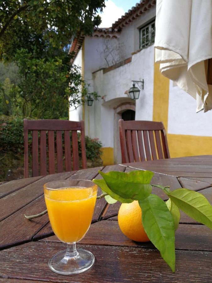 Quinta Do Rio Touro Bed & Breakfast Azoia  Exterior photo