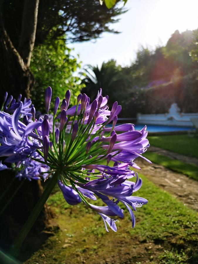 Quinta Do Rio Touro Bed & Breakfast Azoia  Exterior photo