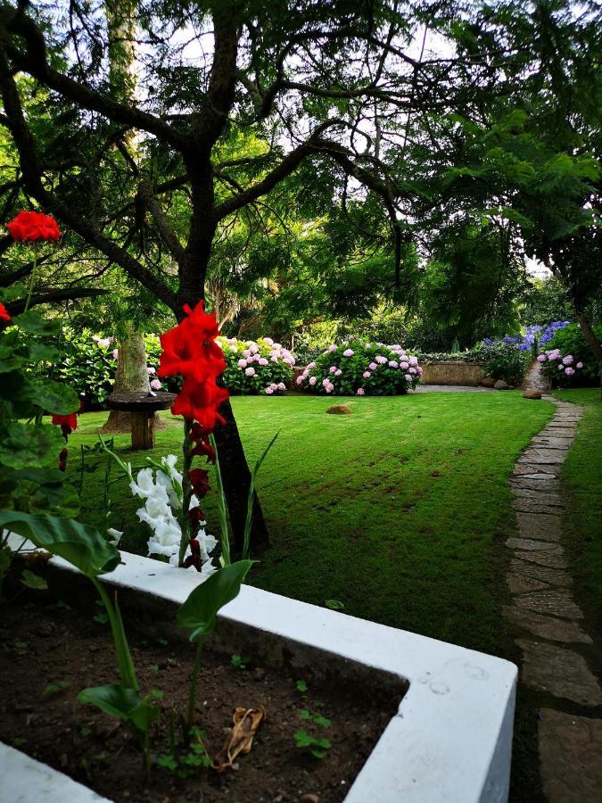 Quinta Do Rio Touro Bed & Breakfast Azoia  Exterior photo